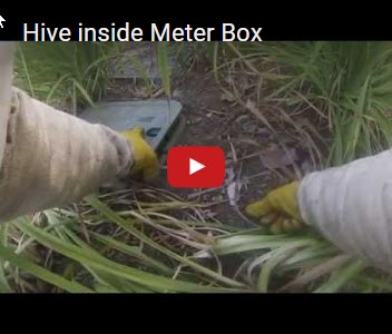 Inside-a-Meter-Box-video-thumbnail