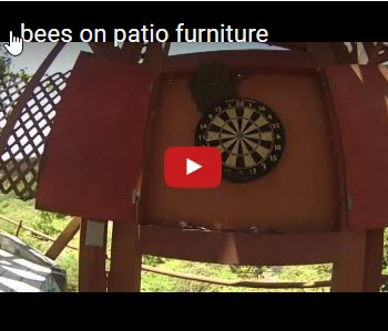 patio-furniture-video-thumbnail