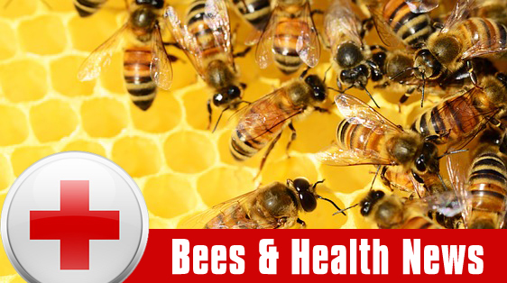 Bee Health Banner for news articles
