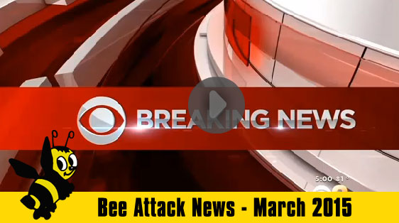 bee-attack-news-2015