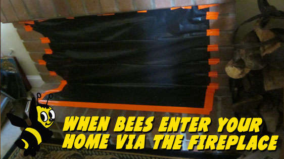 fireplace-bee-prevention