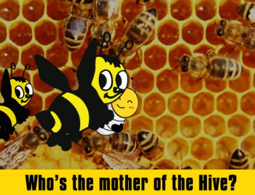 Who is the Mother of the hive?