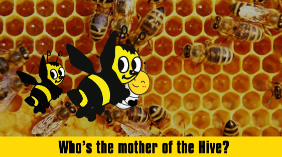 mother-of-the-hive