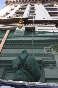 bees-high-up-in-building