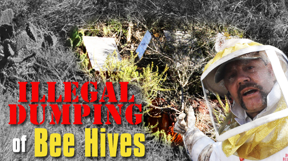 illegal-dumping-of-bee-hives-jeff
