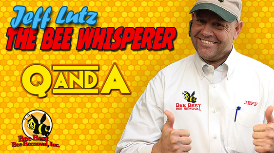 bee-whisperer-jeff-lutz-questions-answers