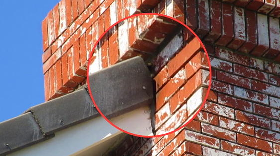 bees-getting-inside-roof-chimney