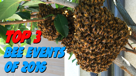 top-3-bee-events-2016