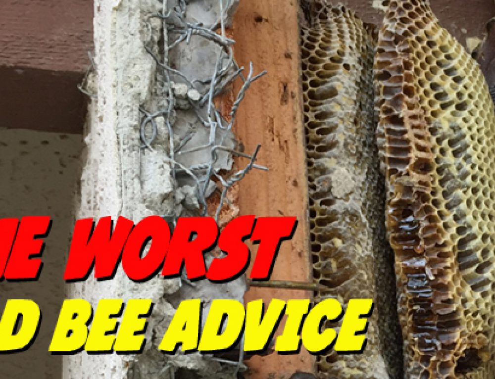 Will bees in trees go away on their own? | Bee Best Bee Removal