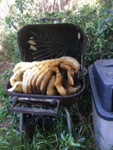 Bee Hive in BBQ Grill