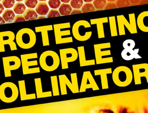 Good Bee Advice for Pest Control Professionals