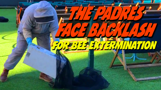 padres-bee-extermination