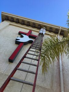 church-bees-high-ladder