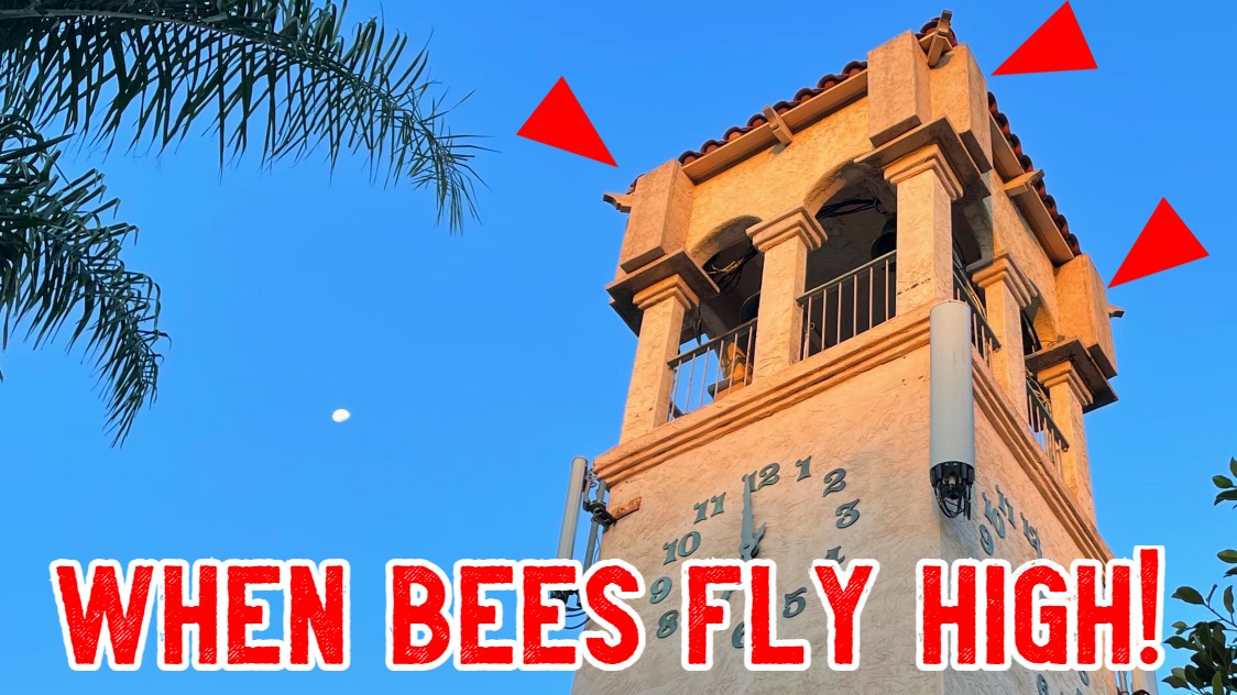 when-bees-fly-high-bee-best-header