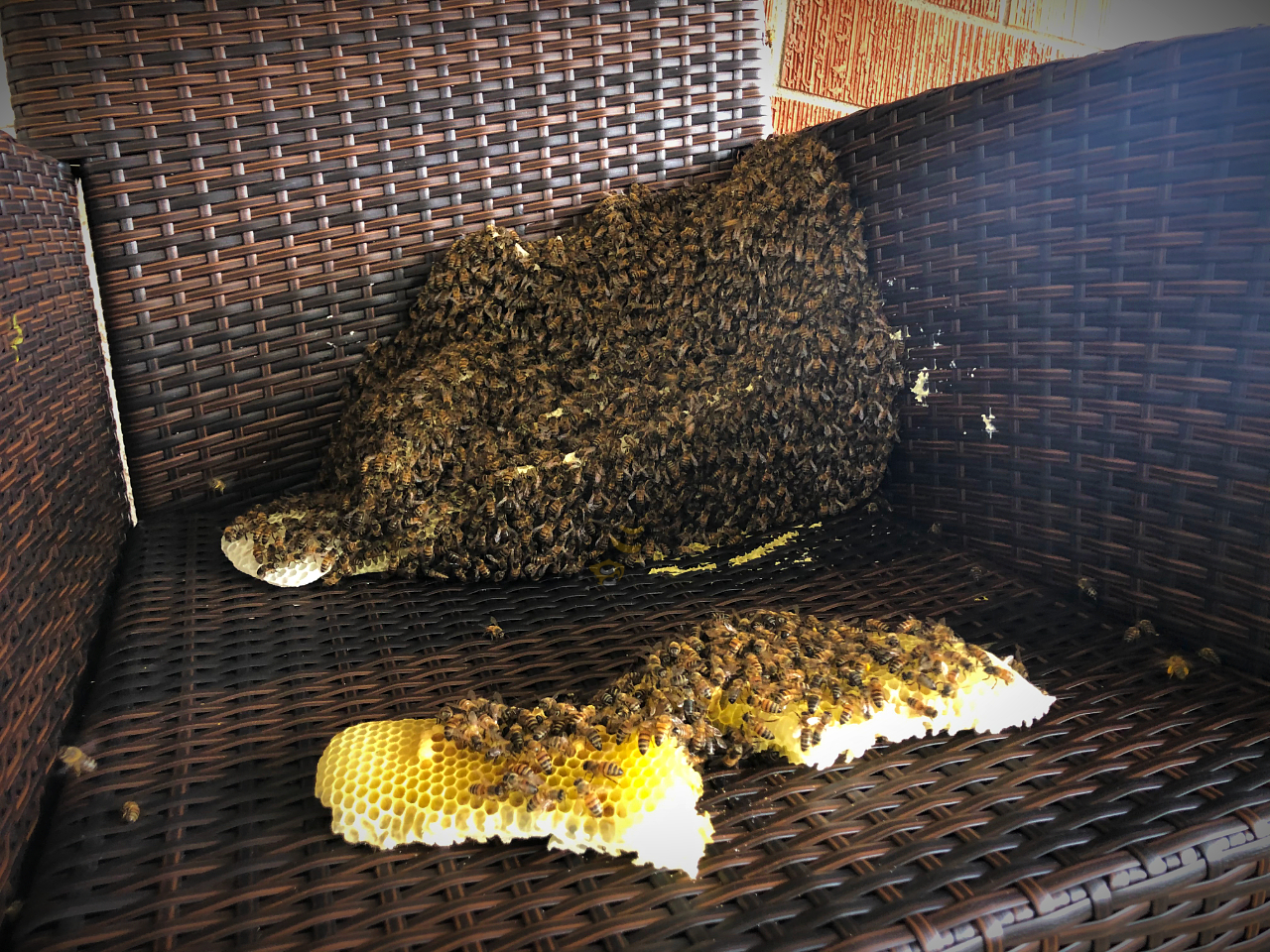 beehive-honeycomb-wicker-chair