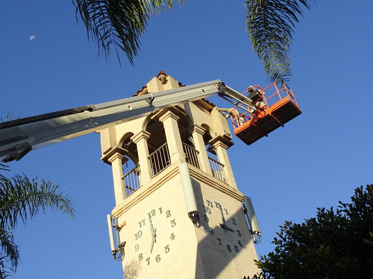 hive-removal-commerical-clock-tower