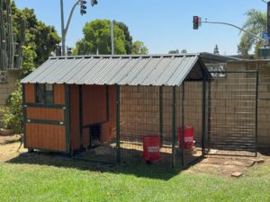Example of a Chicken Coup in a backyard